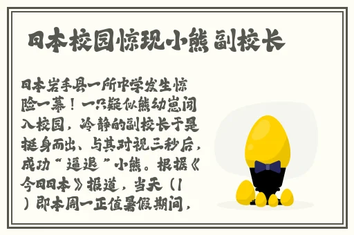 手机**
